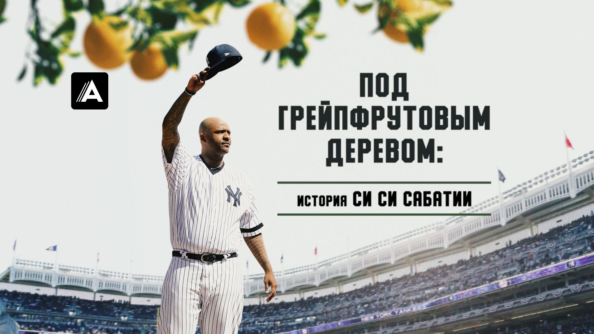 Под грейпфрутовым деревом: история Си Си Сабатии